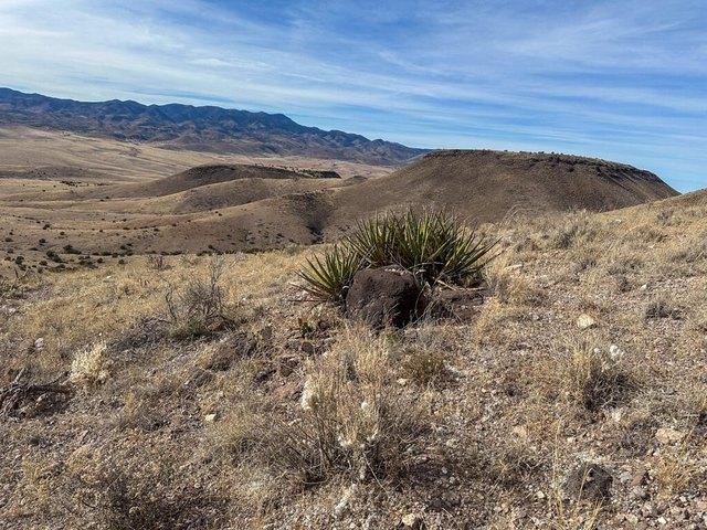 Land for sale in New Mexico