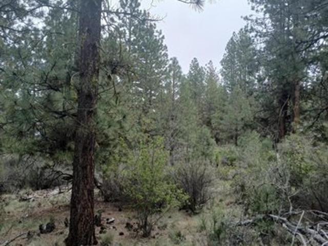 Land for sale in Oregonia