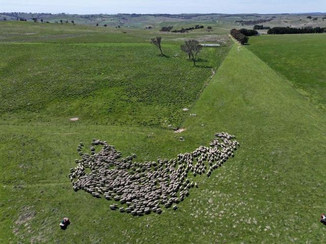 Cottage for sale in Golspie, New South Wales