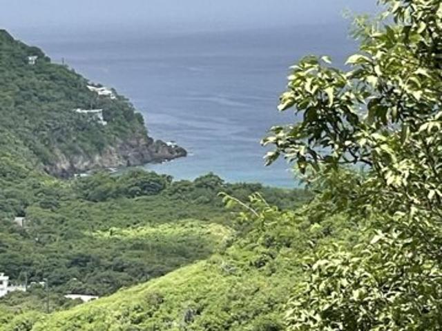 Land for sale in Saint Thomas, Missouri