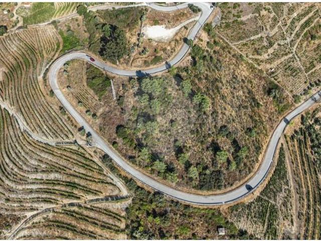 Terreno venda em Nagoselo Do Douro, Viseu