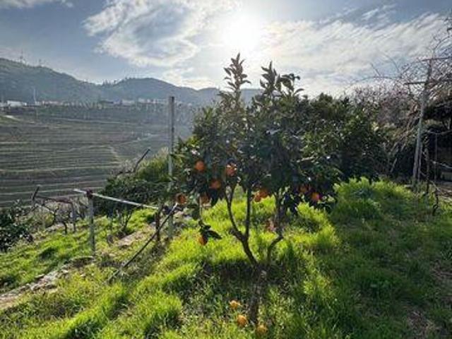 Terreno venda em Viseu