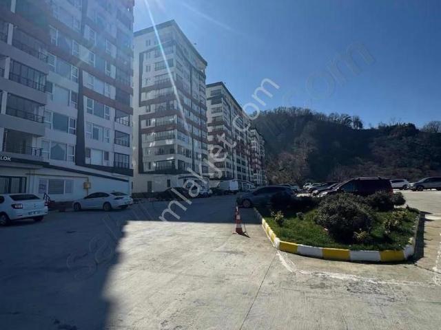 Giresun içerisinde kiralık mülk