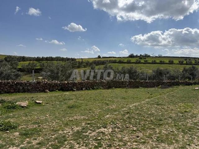 Propriété vente à Oued Zem