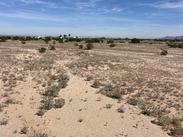 Land for sale in Tacna, Arizona