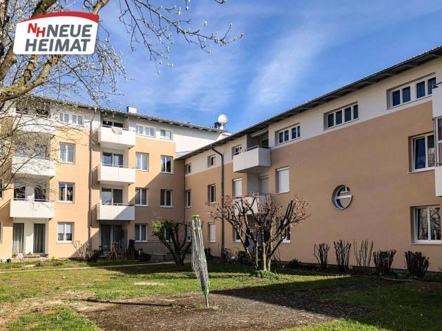 Apartment mieten in Schwanenstadt, Oberösterreich