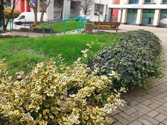 Mieszkanie na sprzedaż w Wrocław, Dolnośląskie