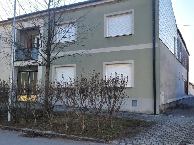 Haus kaufen in Tadten, Burgenland