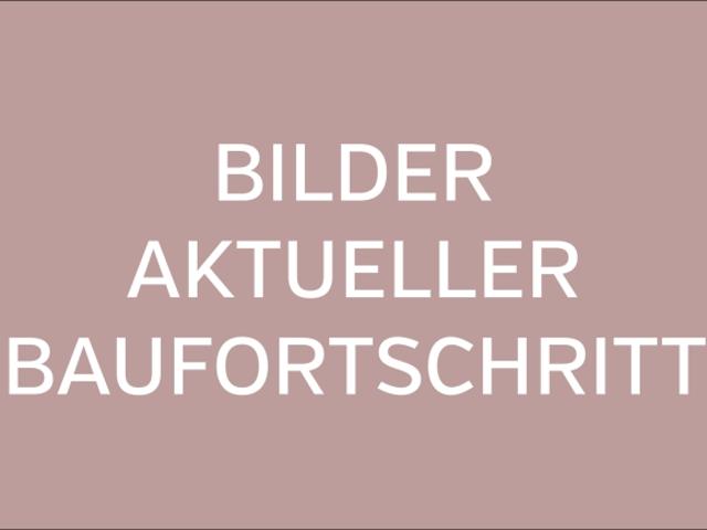 Dachwohnung kaufen in Birr, Aargau