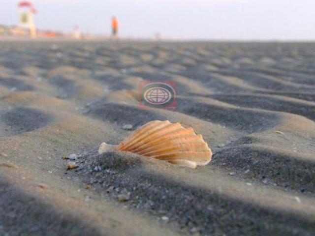 Terreno in vendita a Cervia, Reggio Emilia