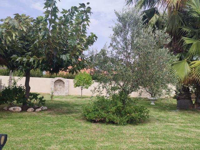 Maison vente à Corte, Taglio-isolaccio