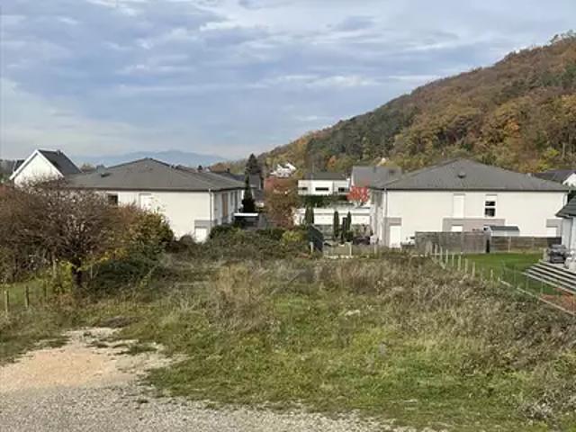 Terrain vente à Tagolsheim, Collectivité européenne d'Alsace