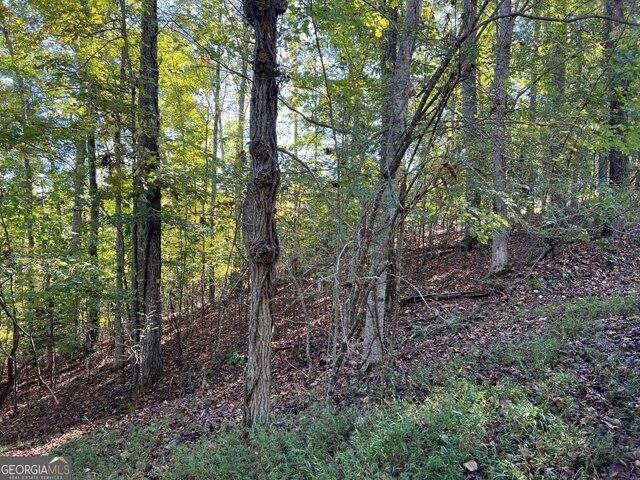 Land for sale in Hayesville