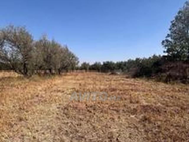 Propriété vente à Al Haouz, L'Oriental