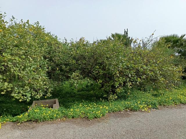 Casa en venta en Esparragal, Área Metropolitana de Murcia