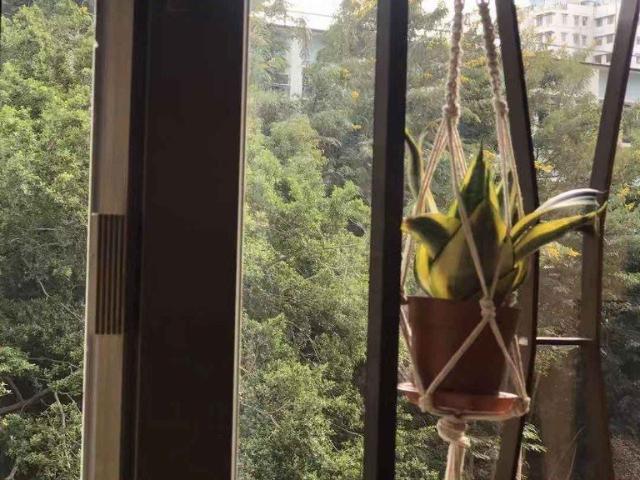 提供 出租 的 公寓