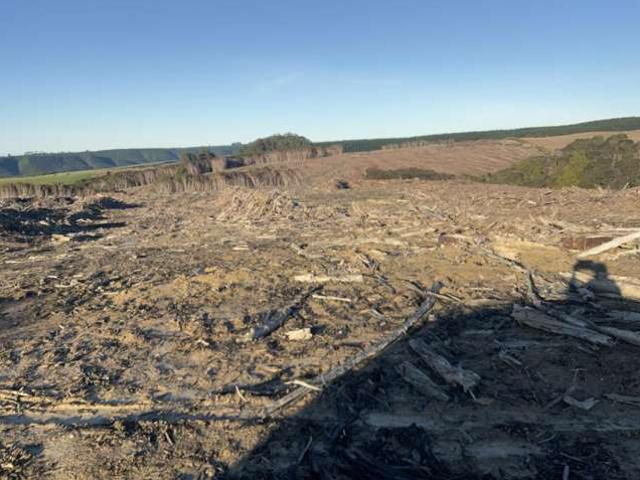 Land for sale in Otakou