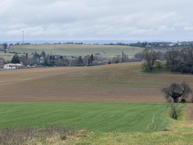 Terrain vente à Albi, Taïx