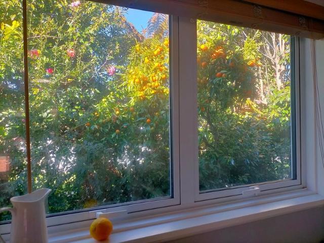 House for rent in Tasman