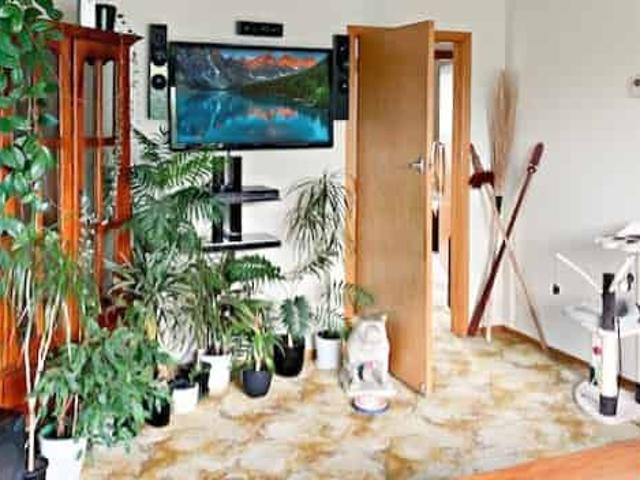 House for rent in Takapau, Central Hawke's Bay District