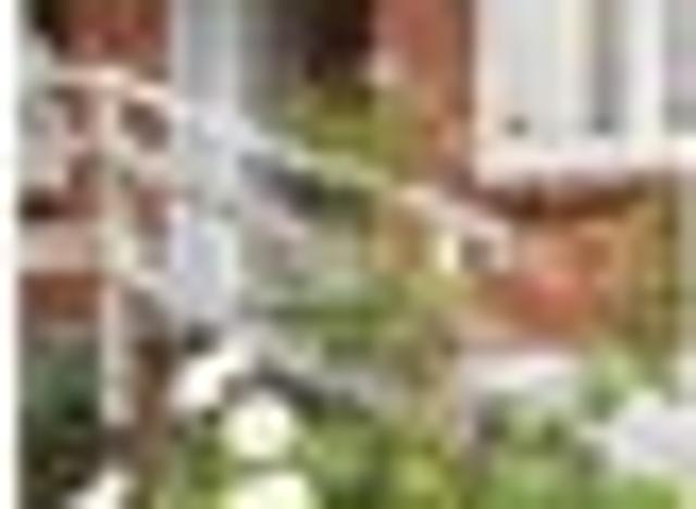 Apartment for rent in Takapuna