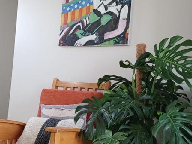 House for rent in Auckland