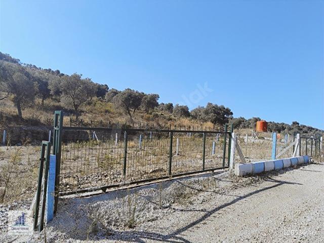 Selçuk, İzmir içerisinde satılık mülk