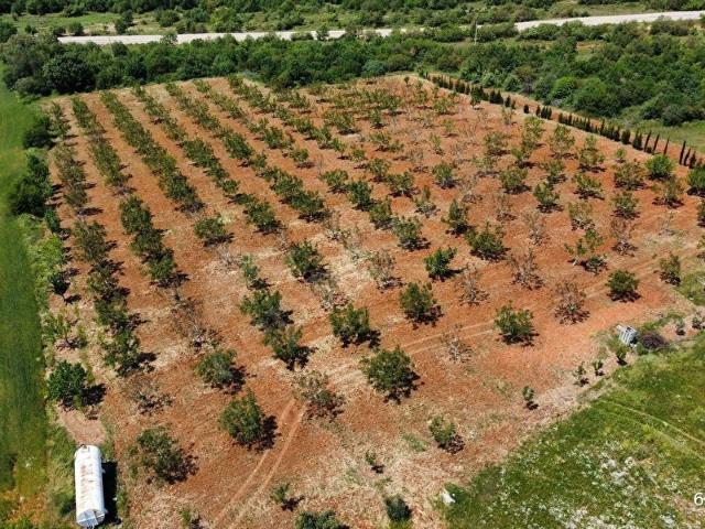 Yeniziraatli Mahallesi, Bandırma içerisinde satılık Arsa