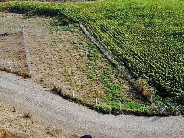 Salbaş, Çukurova içerisinde satılık Arsa