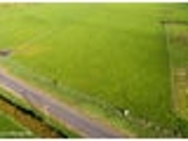 Land for sale in Taranaki