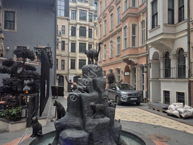 Beyoğlu, İstanbul içerisinde satılık mülk