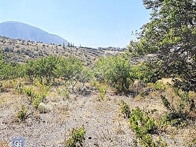 Talas, Kayseri içerisinde satılık mülk