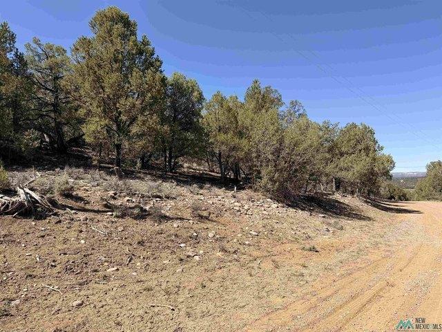 Land for sale in Los Ojos, New Mexico