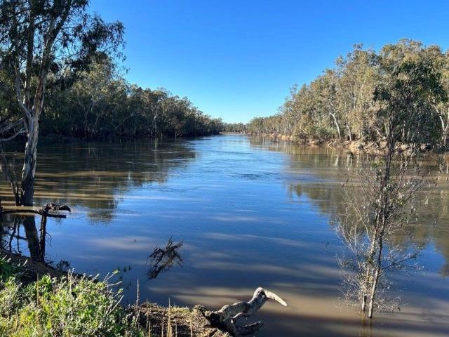 Acreage for sale in Moama, New South Wales