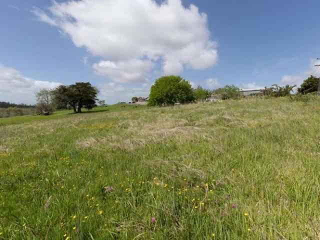 Land for sale in Churchill, Waikato