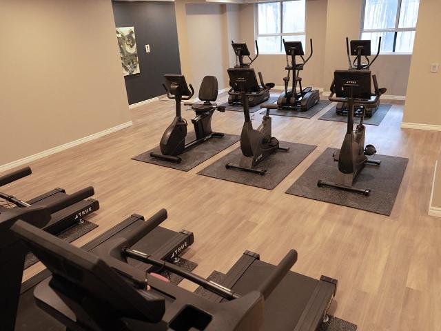 Apartment for rent in Arva, Ontario