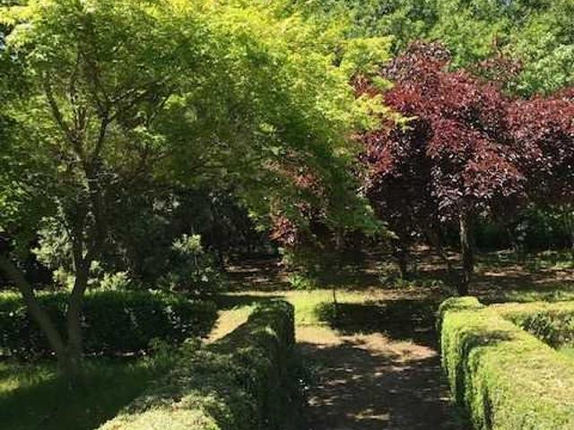 Talca, 59 oriente / condominio el olivo 52094