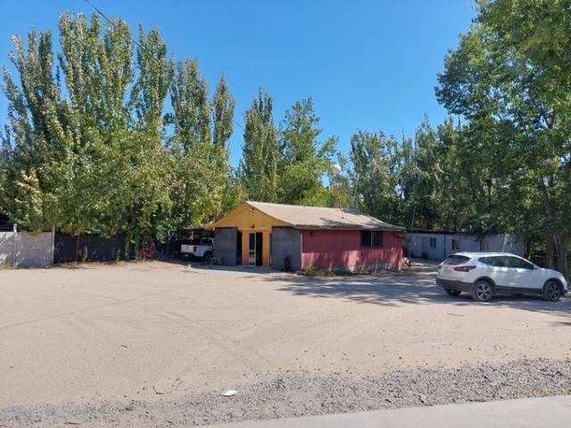 Talca, Talca