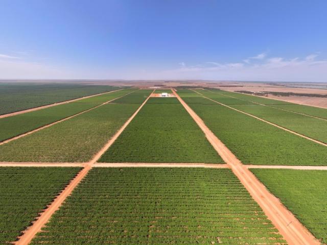 Property for sale in South Australia