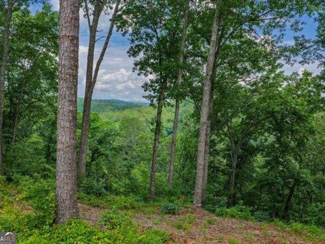 Land for sale in Gilmer, Georgia