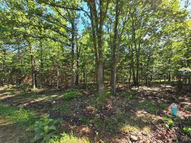 Land for sale in Hickory, Missouri