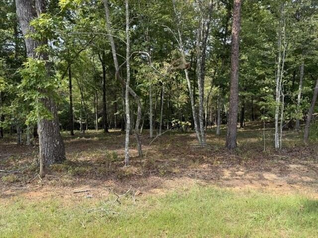 Land for sale in Georgia