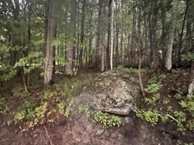 Land for sale in Argyle