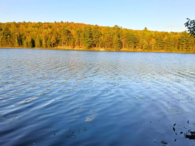 Land for sale in New Hampshire