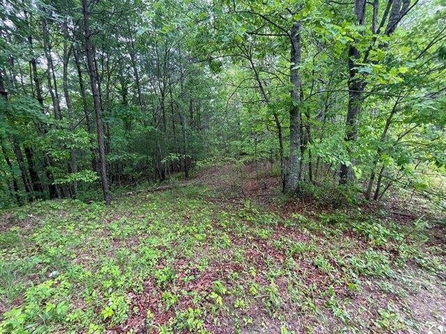 Land for sale in Murphy