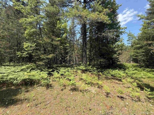 Land for sale in Houghton, Michigan