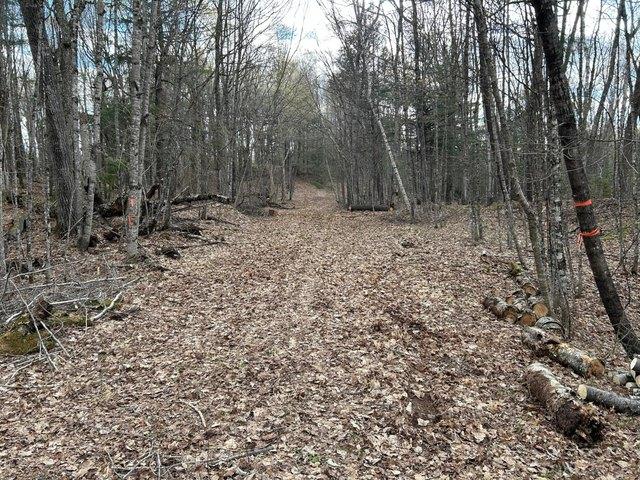 Land for sale in Vilas, Wisconsin