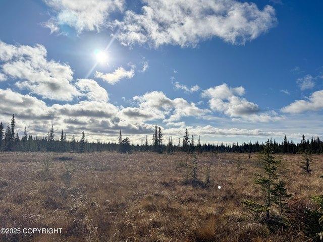 Land for sale in Anchor Point, Alaska
