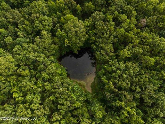 Land for sale in Charleston, Mississippi