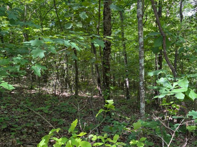 Land for sale in Tennessee
